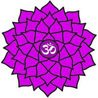 7 chakras
